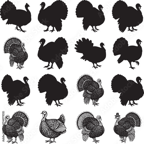Turkey Silhouette Vector Engraving Set Displaying Tail Feathers Black White