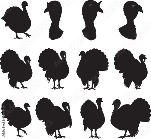 Turkey Silhouettes Vector Set Thanksgiving Poultry Bird Collection