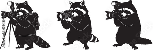 Raccoon Silhouette Working as Photographer Illustration