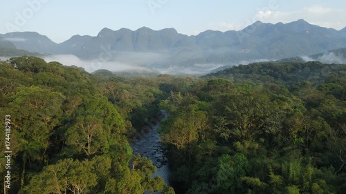 Vista aérea com voo de drone ao nascer do sol em Morretes no litoral do Paraná sobre a mata atlântica com neblina com vista a serra da graciosa ao fundo sobre o rio ipiranga