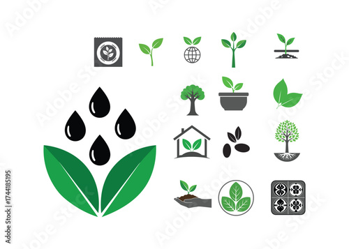 Plant and Nature Icon Set