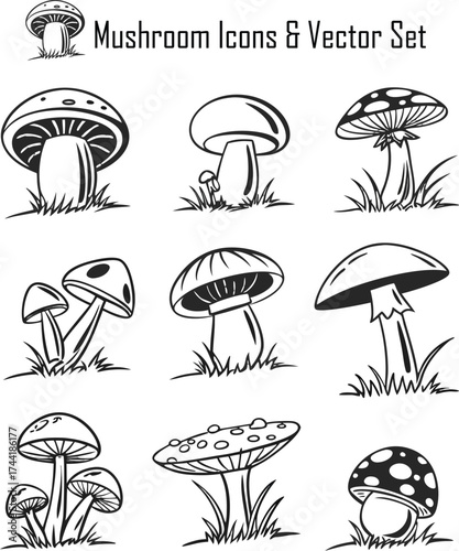 Mushrooms Icons & Vector set