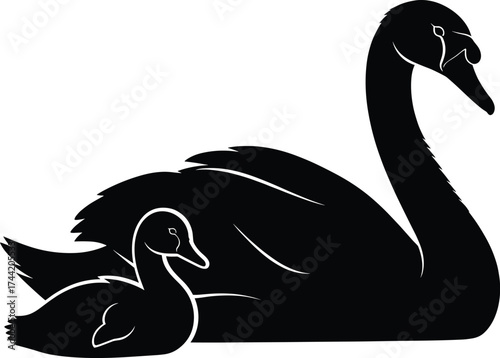 Swan and Cygnet Silhouette