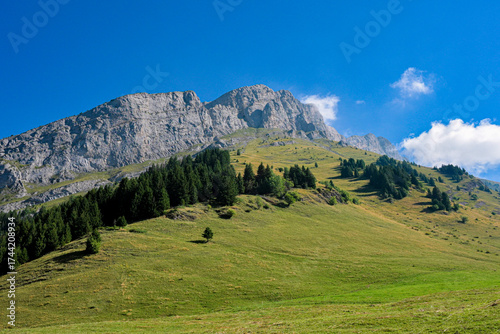 Paisagem rural do verão nos alpes da frança durante a manhã com céu azul e céu.