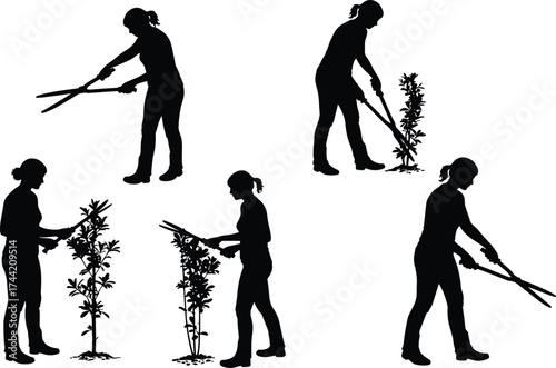 Silhouette gardener pruning plants with shears, garden maintenance worker trimming bushes, horticulture care, landscaping illustration, outdoor agriculture vector design