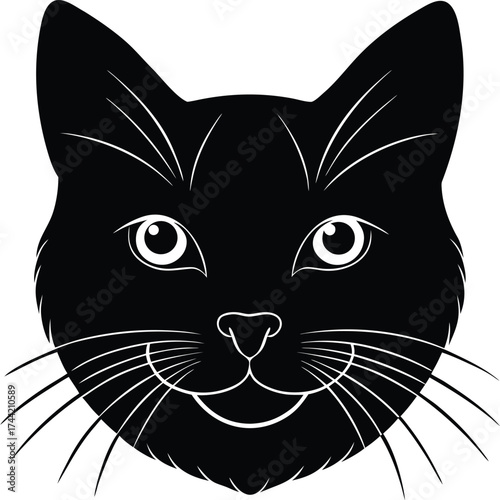 A cute black and white kitten vector illustration of a feline pet with bright eyes