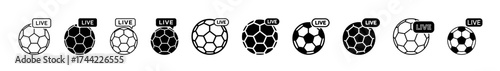 Collection of soccer balls with different levels indicated