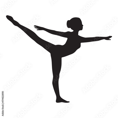Elegant Ballet Dancer Silhouette
