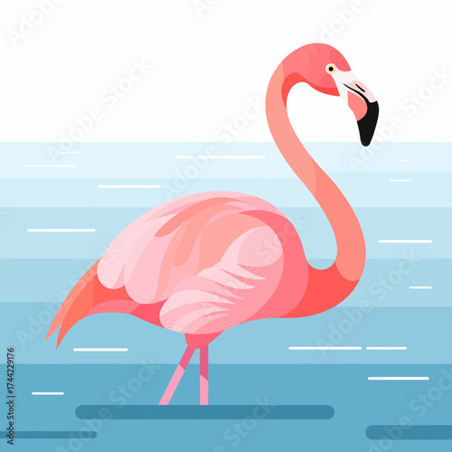 Elegant Pink Flamingo Standing Calmly In A Soft Blue Water Scene