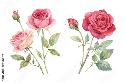 Romantic Watercolor Pink and Red Roses Clipart 