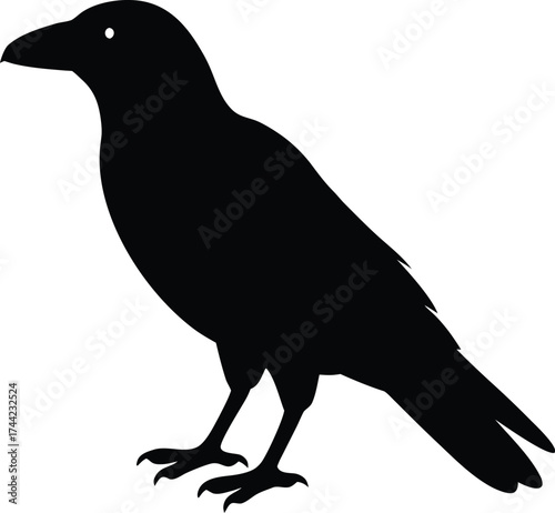 Raven silhouette vector art illustration