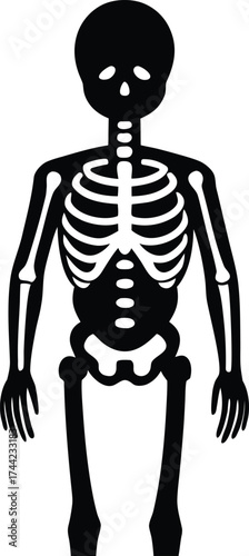 Skeleton silhouette vector art illustration