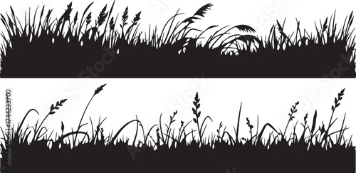 Illustration of silhouette of grass, vector illustration design