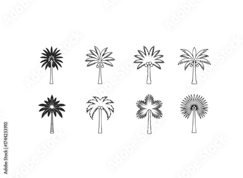 Collection of eight different palm tree icons