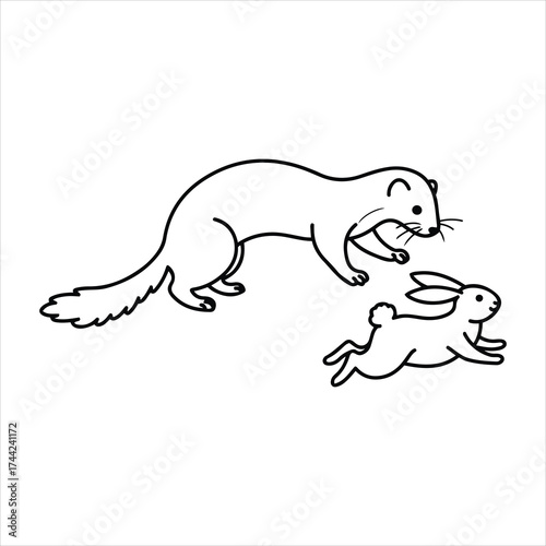 Playful ferret chasing a small rabbit illustration cute animal line art sketch