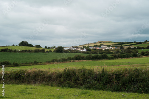 A view of the Irish countryside reveals green fields sloping towards a village on a low hill under a cloudy sky in West Cork. Cows graze in one field.