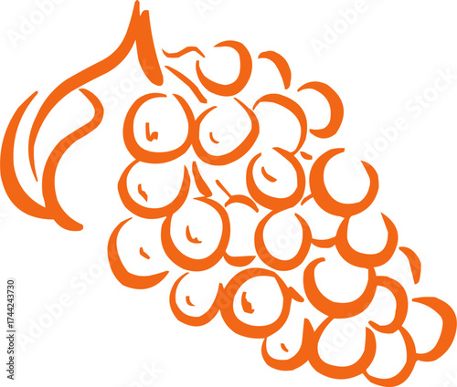 Hand drawn fruit . Ink logo,  icon. Vector illustration.  Grapes 