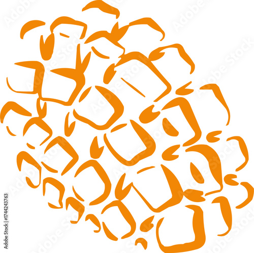 Hand drawn fruit . Ink logo,  icon. Vector illustration. Mango