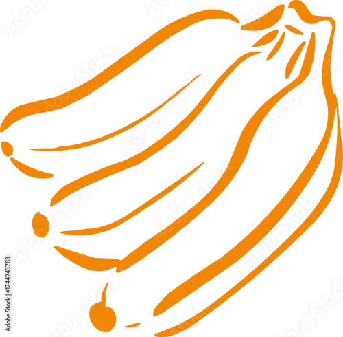 Hand drawn fruit . Ink logo,  icon. Vector illustration. Banana 