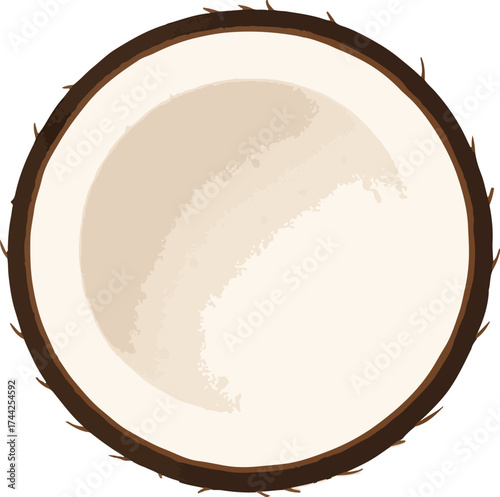 Half coconut with brown husk and white flesh tropical fruit