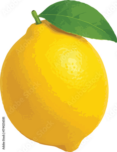 Yellow lemon with green leaf on white background fruit