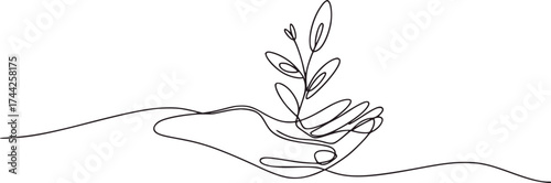 Hand holding delicate plant sprout growth nature