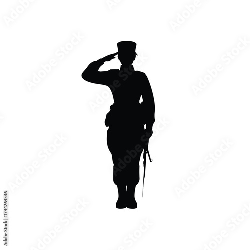 Soldier saluting in silhouette