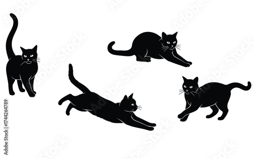 Vectorized cat for print, sketch, Wallpaper, Decoration 
