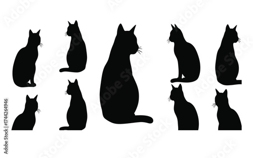 Vectorized cat for print, sketch, Wallpaper, Decoration 