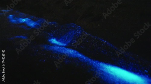 Bioluminescence (Noctiluca scintillans) in the waves