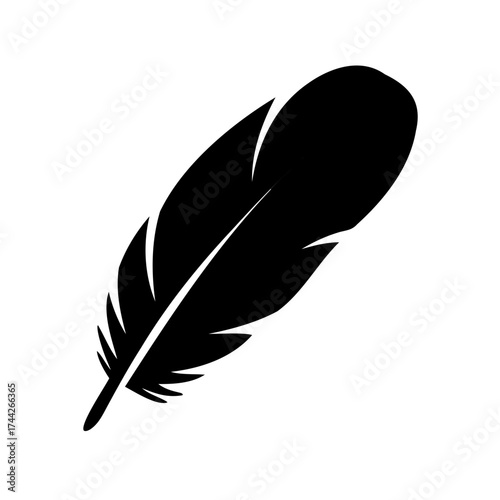 Elegant black feather on a white background provides simplistic beauty and grace