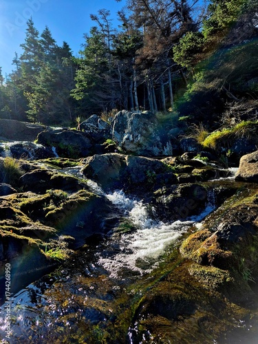waterfall in the forest