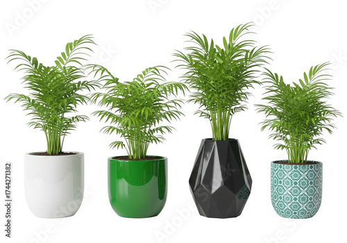 Four potted plants featuring lush green foliage in decorative modern pots arrayed together isolated on transparent background