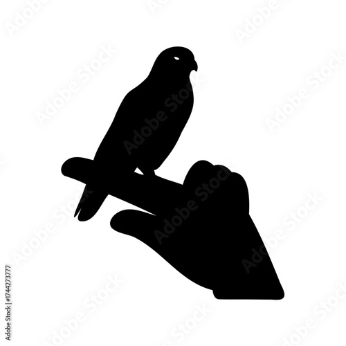 Silhouette of a Bird Perched on a Human Finger Demonstrating Trust