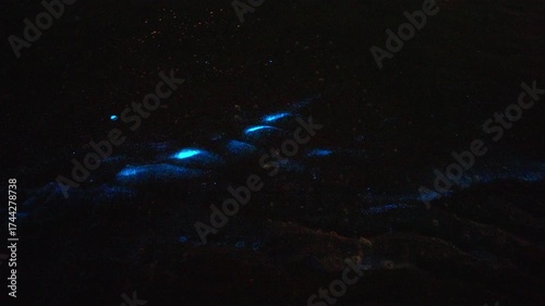 Bioluminescence (Noctiluca scintillans) in the waves