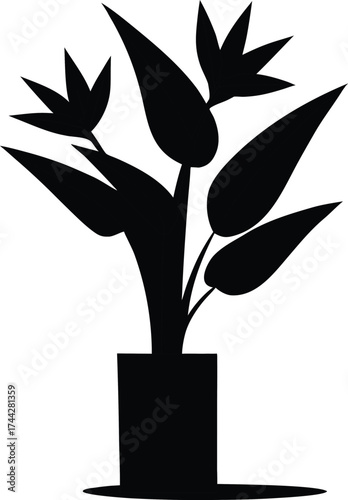 Silhouette of a bird of paradise plant in a pot