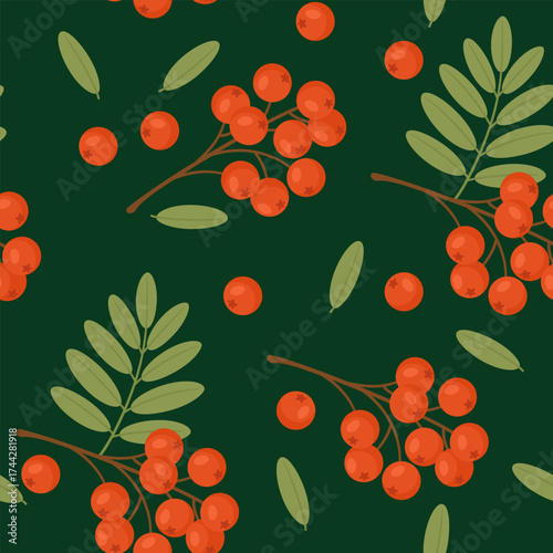 Seamless Rowan Berry Botanical Pattern