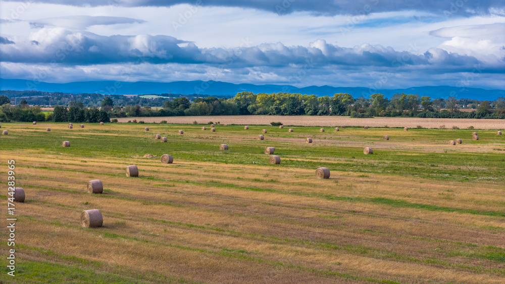 Obraz premium Pole, Bale