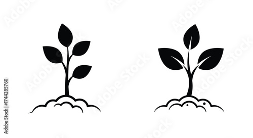 Two simple black and white illustrations of small plants growing