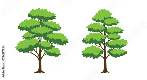 Illustration of two green trees with bushy foliage on white background