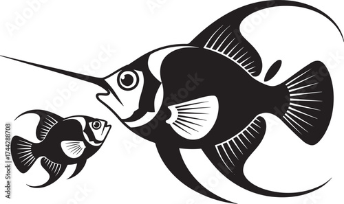 Angelfish and clownfish black vector silhouette. Aquarium fish graphic illustration