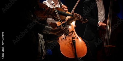 A close-up view of musicians performing on violins during a classical concert, showcasing the elegance and precision of live orchestral performance.