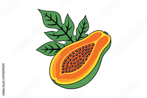 Papaya Half with Seeds and Leaves – Tropical Fruit Vector