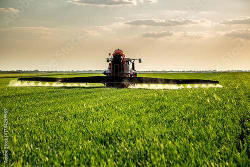 Farming tractor spraying wheat crops in green agricultural field