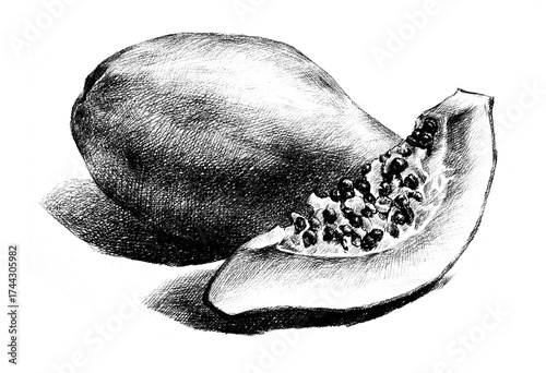 papaya hand drawing engraving illustration isolated on white background	
