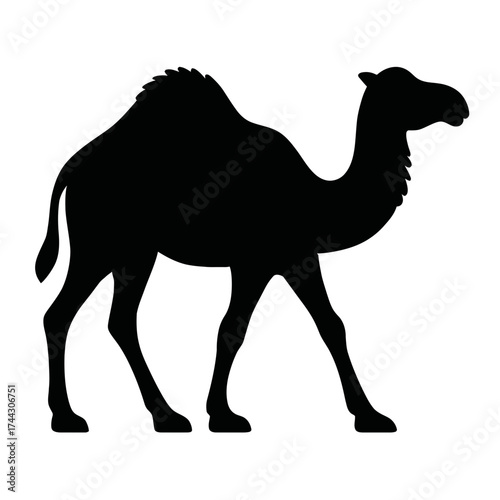 Dromedary camel silhouette side view, one-hump desert animal, black on white