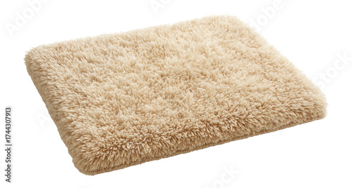 Plush, shaggy bath mat for ultimate comfort in a master bathroom.