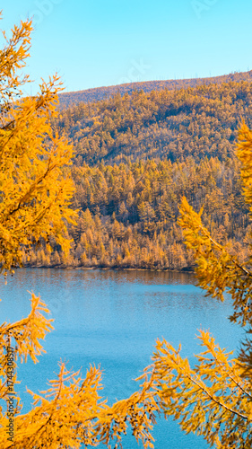 autumn landscape with lake and trees