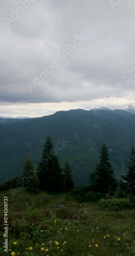 Wallpaper Mural Arial of "Vorderer Gosausee" at Gosau Austria. Large lake with the reflection of the "Dachtstein",  very cloudy sky and the forest on it Torontodigital.ca