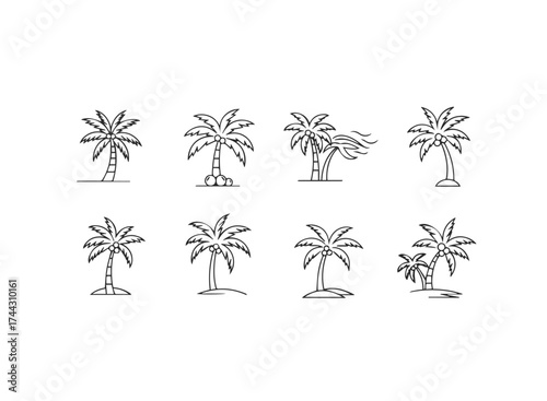 Set of handdrawn palm trees